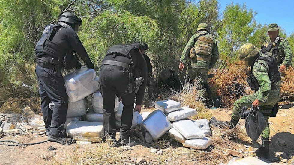 Decomisan 250 kilos de mariguana cerca del Río Bravo - mariguana-decomisada-en-tamaulipas