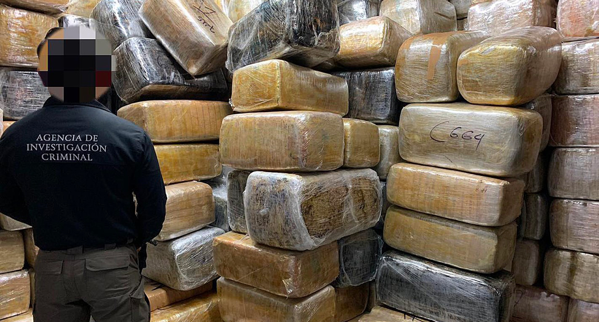 Decomisan nueve toneladas de mariguana en inmueble de Tijuana
