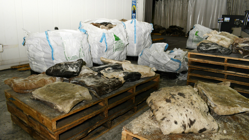 Australia incauta su mayor alijo de metanfetamina procedente de México