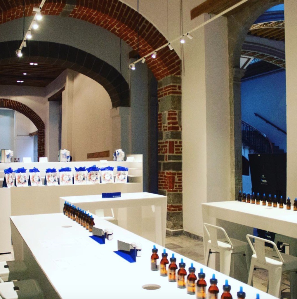 Museos que probablemente no sabías que existían en la CDMX - museodelperfume