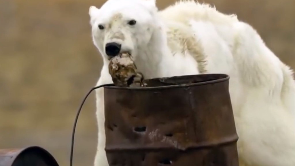 Cambio climático afectará dinámica de la vida como la conocemos