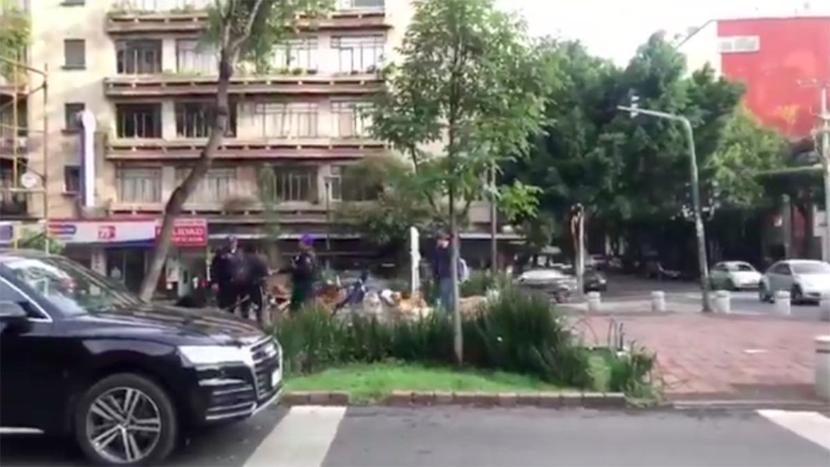Policías forcejean con cuidadores de perros en la alcaldía Cuauhtémoc