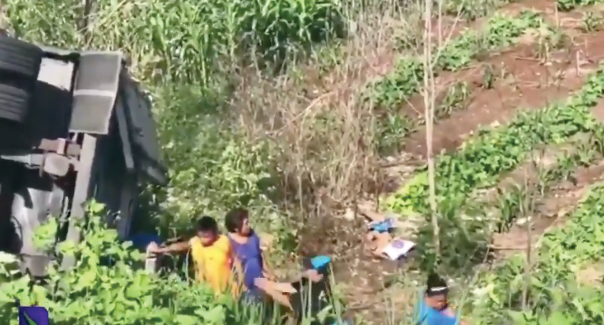 #Video Rapiña en camión de leche que volcó en Campeche