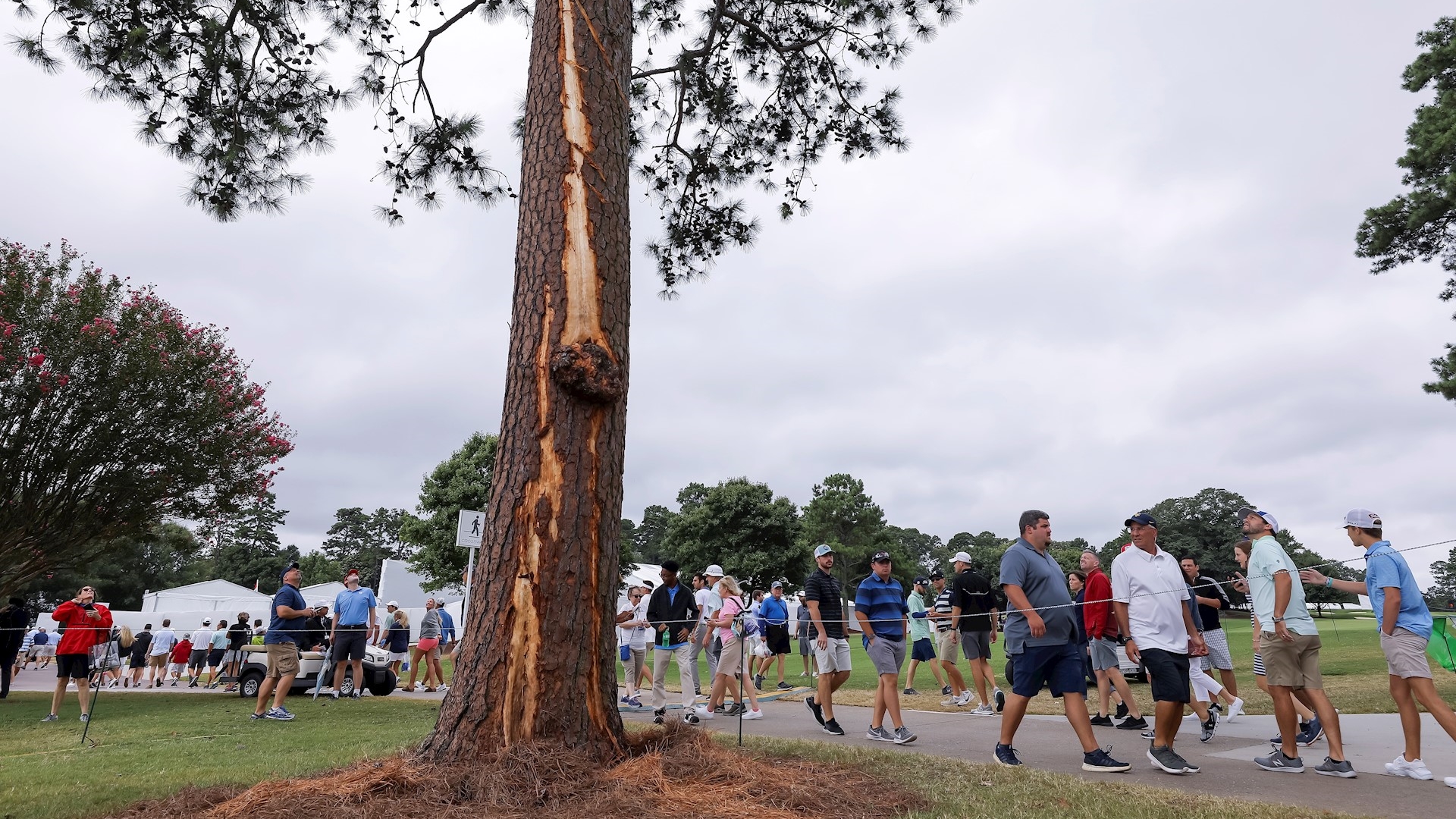 Rayo impacta árbol durante torneo de golf en Atlanta y deja seis heridos