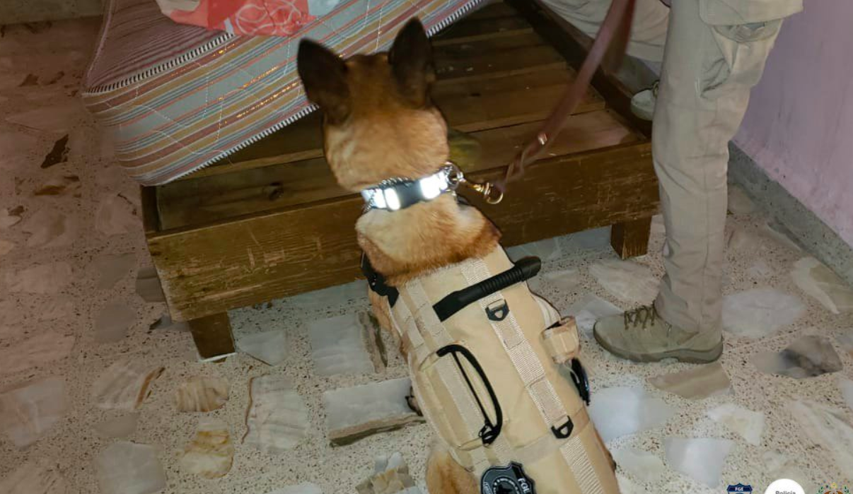 Rescatan a tres posibles víctimas de trata de personas en Cuautla