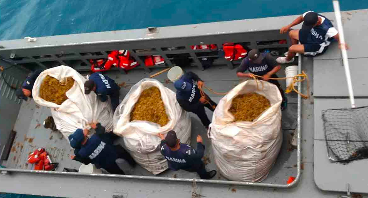 En octubre estará listo el primer buque recolector de sargazo: Semar