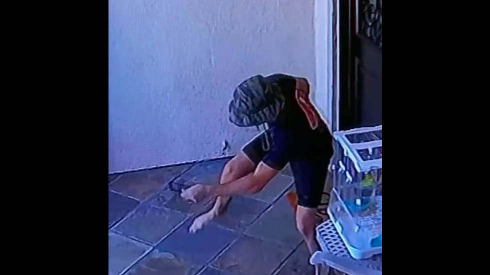 #Video Serpiente de cascabel muerde a joven afuera de su casa en California