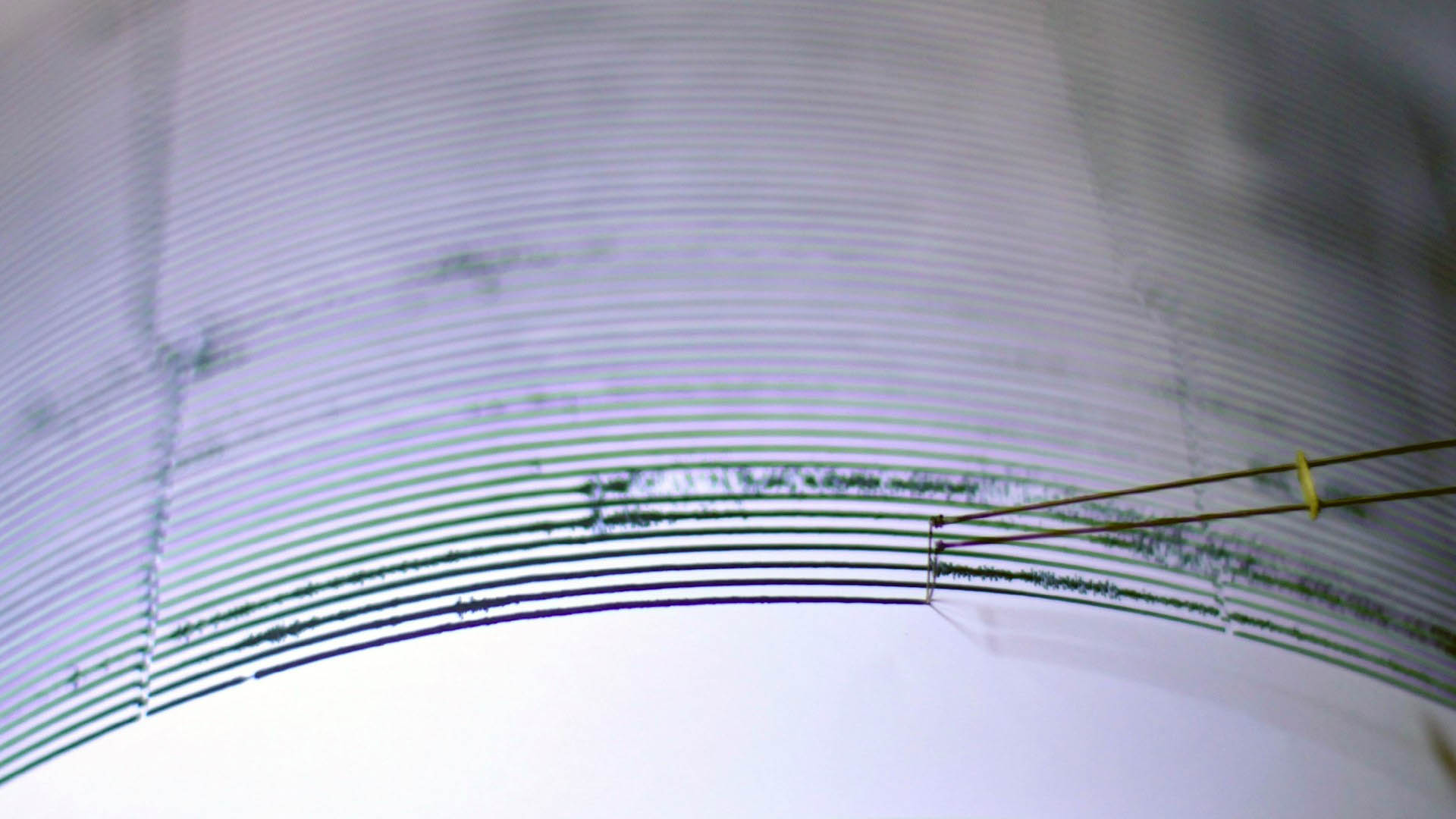 Microsismo sacude Coyoacán Microsismo sacude Coyoacán