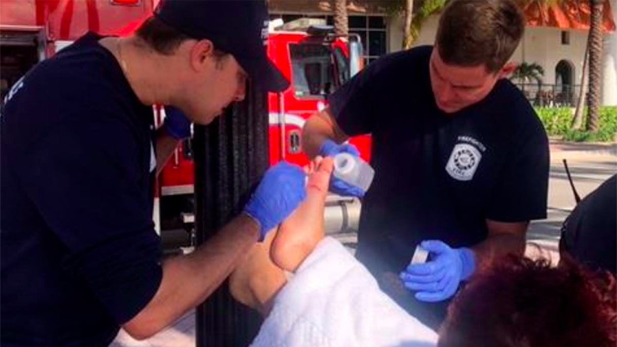 Tiburón muerde a niño en playas de Florida
