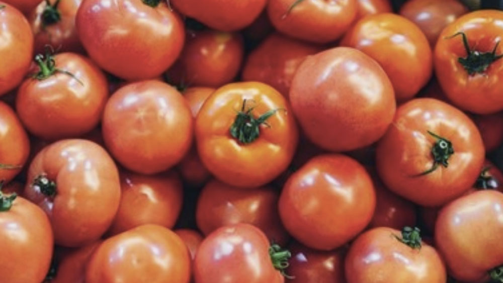 Secretaría de Economía celebra acuerdo con EE.UU. por tomate