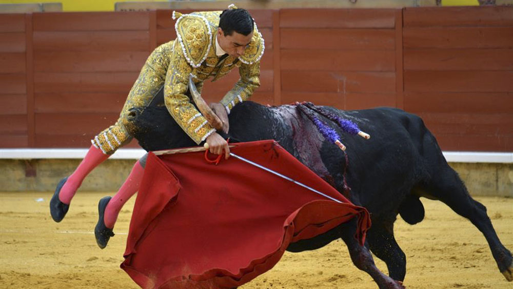 El torero Paco Ureña abandona la Unidad de Reanimación tras cornada