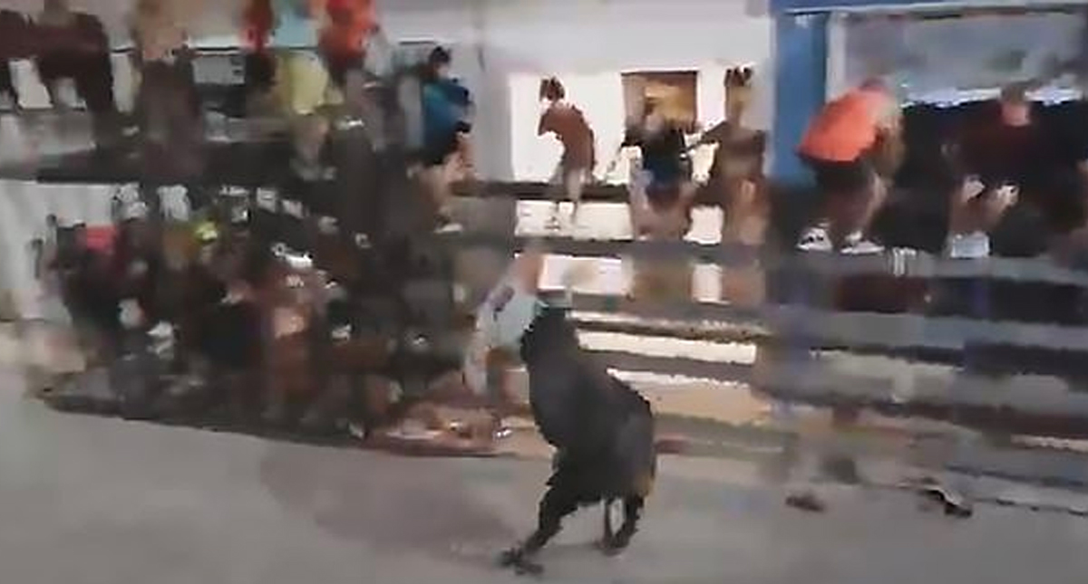 #Video Toro arremete contra turista francés en festival español