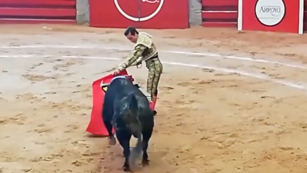 ¿Que festejan los novilleros?