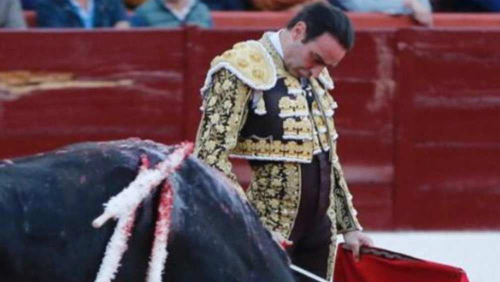 Enrique Ponce tendría una "nueva ilusión" en Ana Soria - whatsapp-image-2019-08-08-at-84630-pm