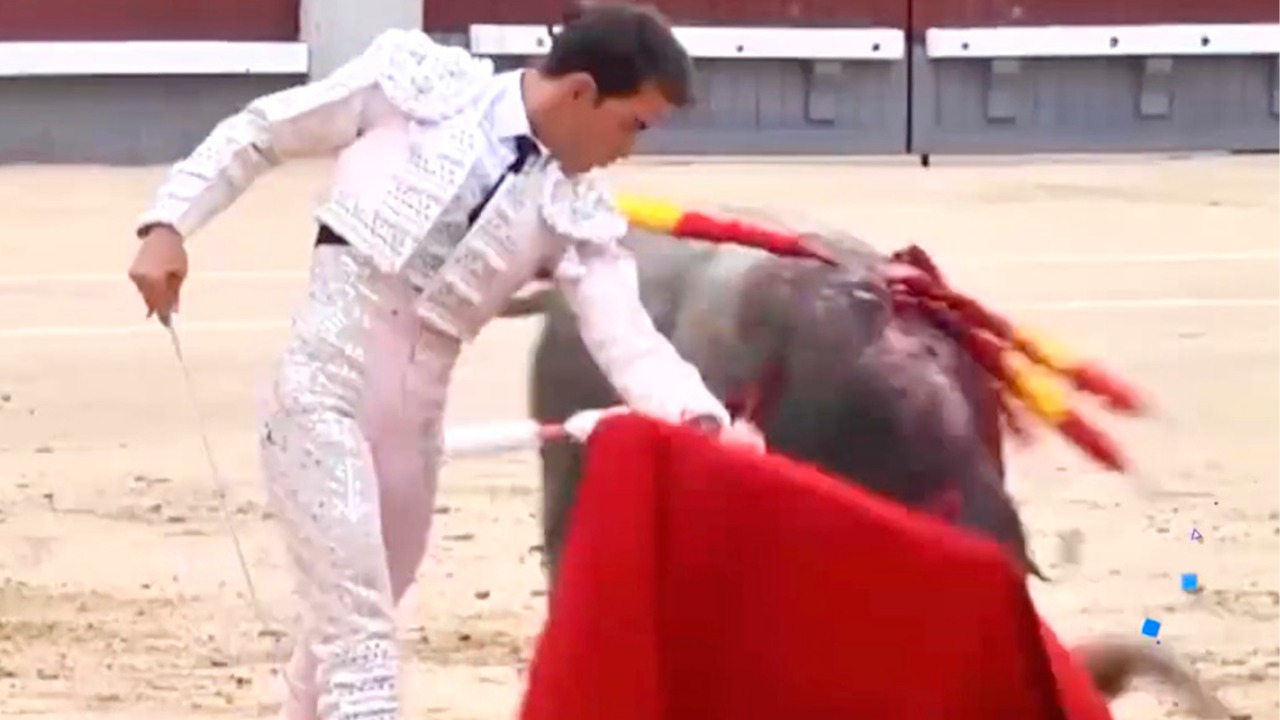 Doblones con Carlos Yarza: entrevista con Arturo Macías ‘El Cejas’