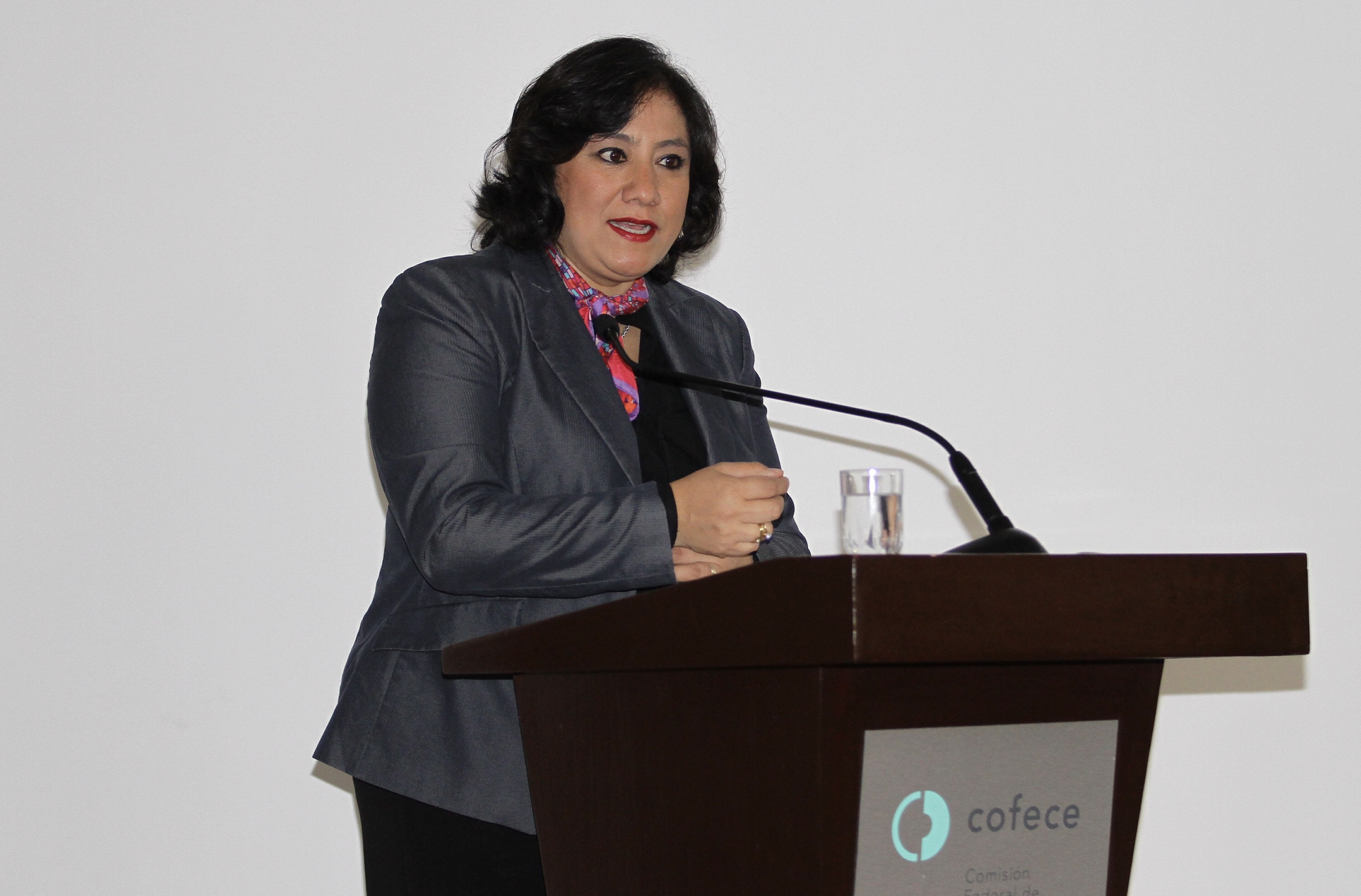 Austeridad no afecta presupuesto de actividades sustantivas, afirma Irma Eréndira Sanvoval