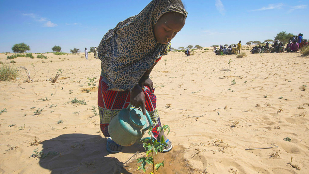 ONU reconoce que el mundo está en un momento crítico