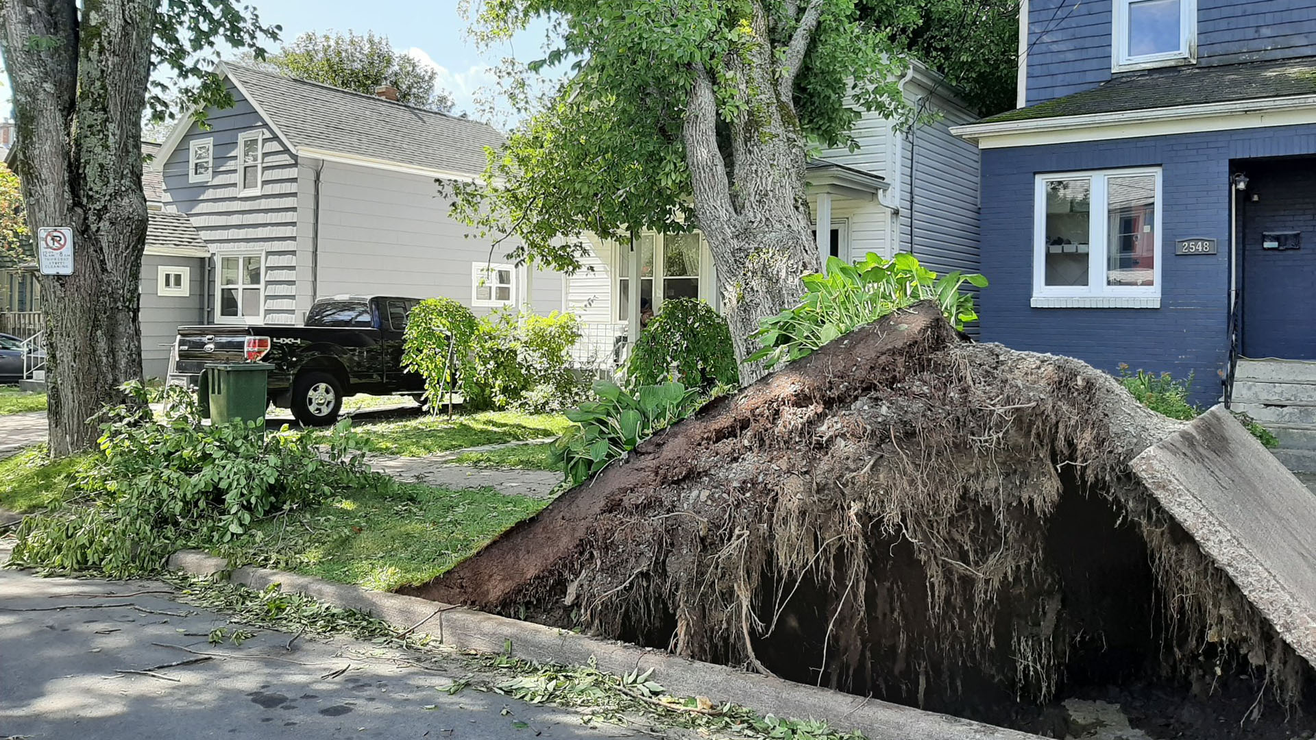 Dorian deja sin electricidad a casi 500 mil personas en Canadá - arbol-arrancado-de-raiz-por-vientos-de-dorian