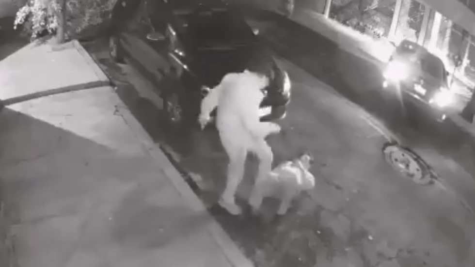 #Video Patean a hombre para robarle el auto y la cartera en la GAM