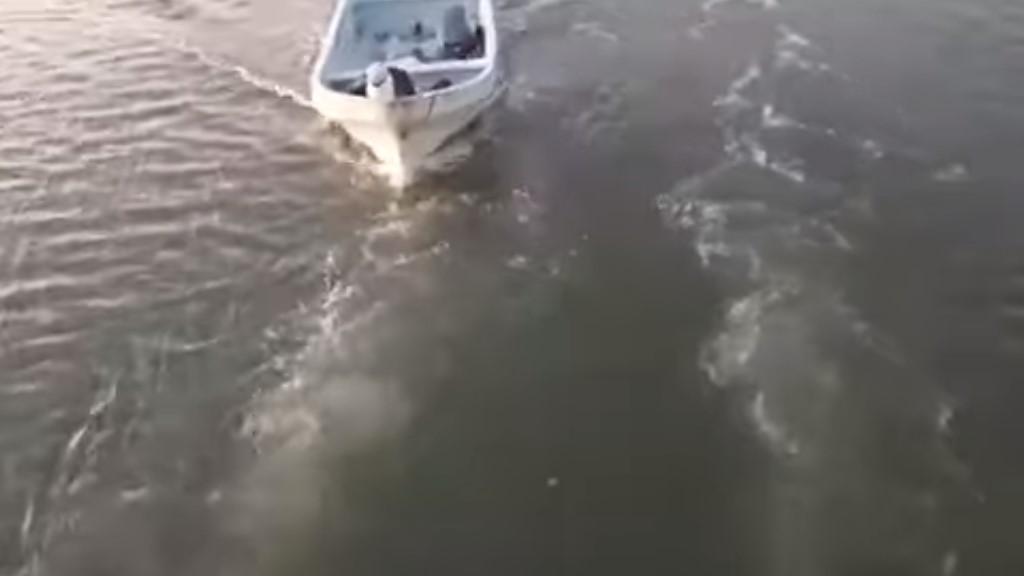 #Video Asaltan a pasajeros de embarcación turística en Tabasco