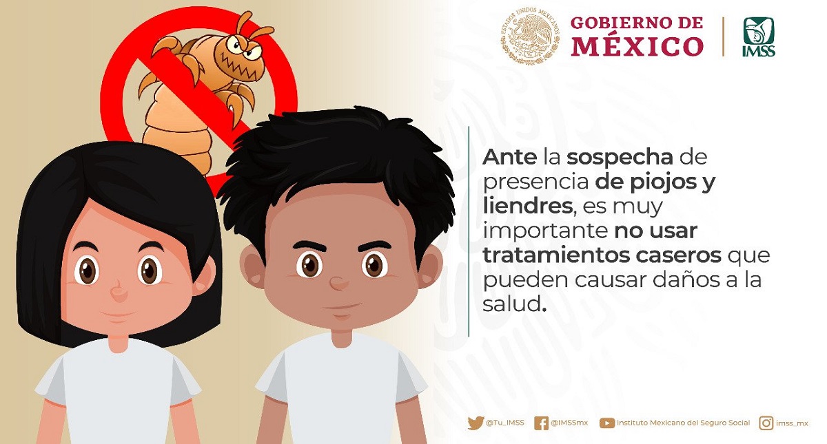 IMSS urge a evitar automedicación y remedios caseros por piojos - aviso-de-piojos-del-imss