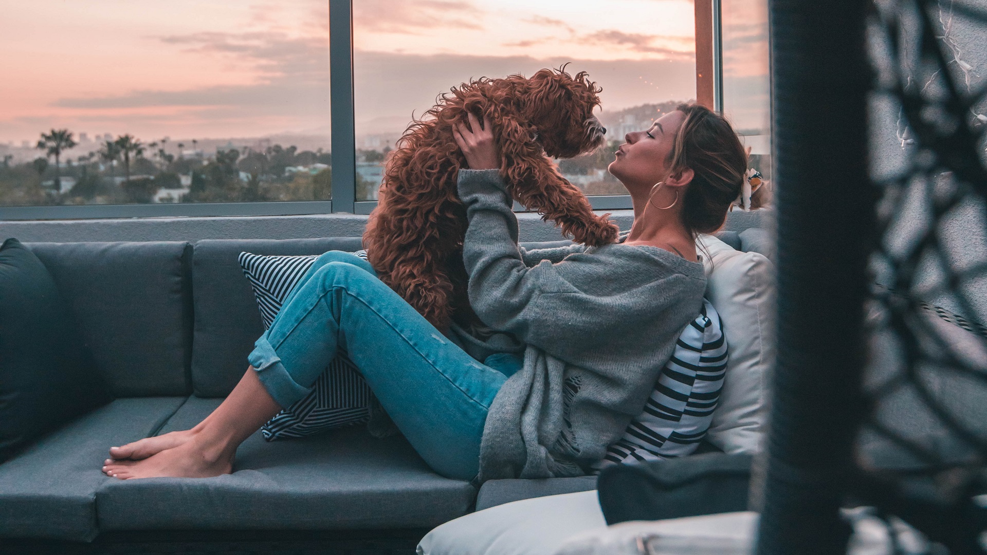 Lamidos de mascotas en la cara pueden perjudicar la salud