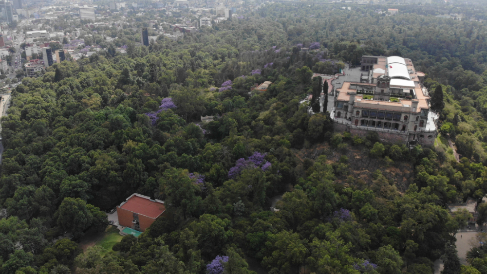 Otorgan Premio Oro a Bosque de Chapultepec