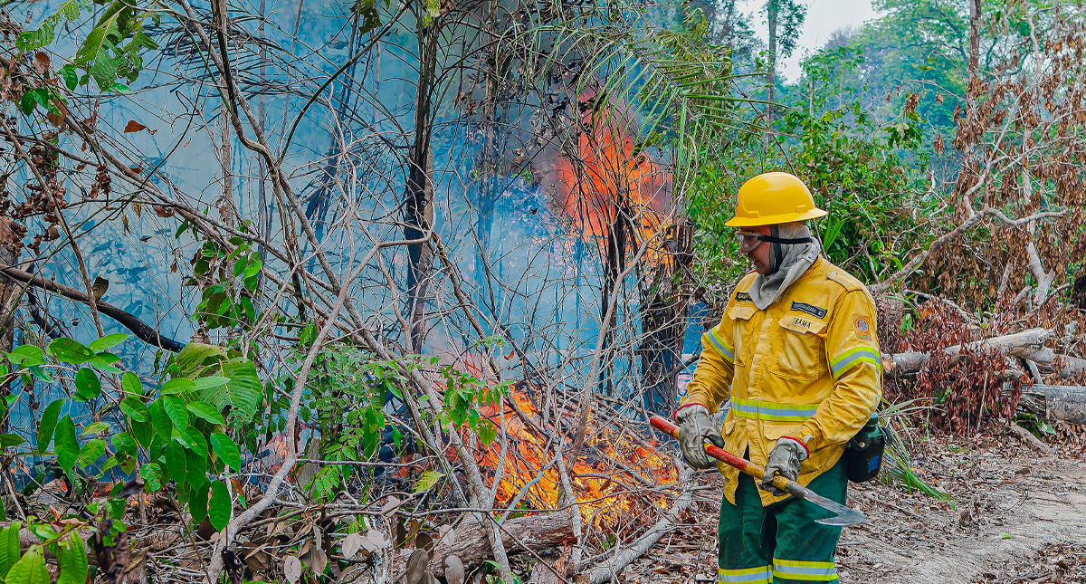 Brasil lanza campaña para mejorar imagen tras incendios en el Amazonas