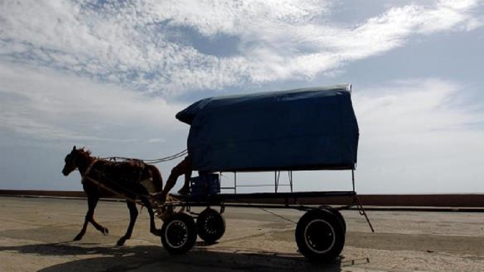 Cuba enfrenta crisis de combustible con caballos y bueyes - caballo-llevando-carreta-en-cuba