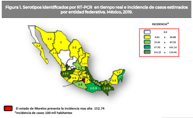 México suma casi 87 mil casos de dengue en 2019 - captura-de-pantalla-2019-09-16-a-las-080452