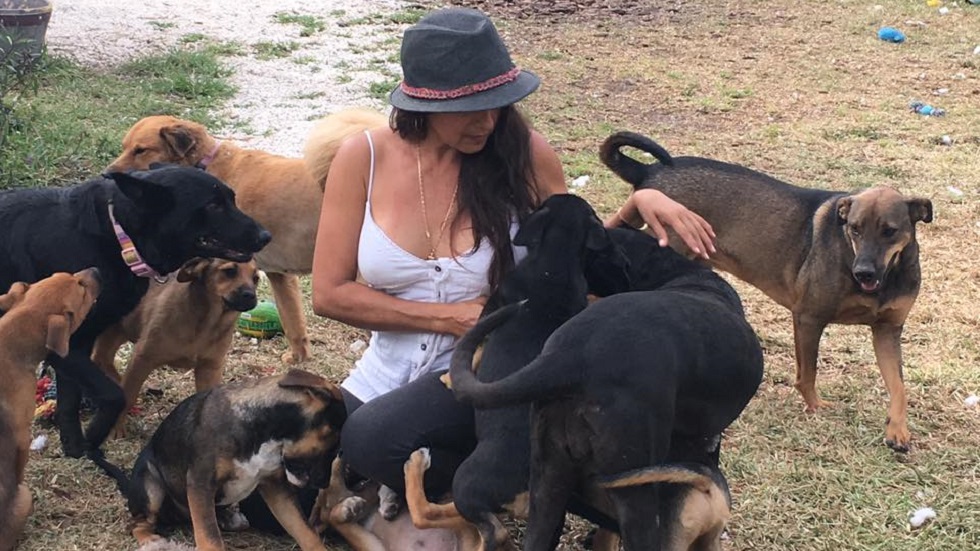 Mujer da asilo a 97 perros en su casa por huracán Dorian