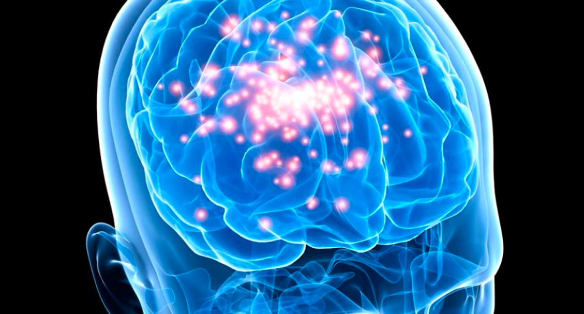 Científicos de la UNAM podrían erradicar la cisticercosis