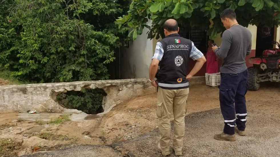 Tormenta tropical Narda tira 50 árboles a su paso por Colima
