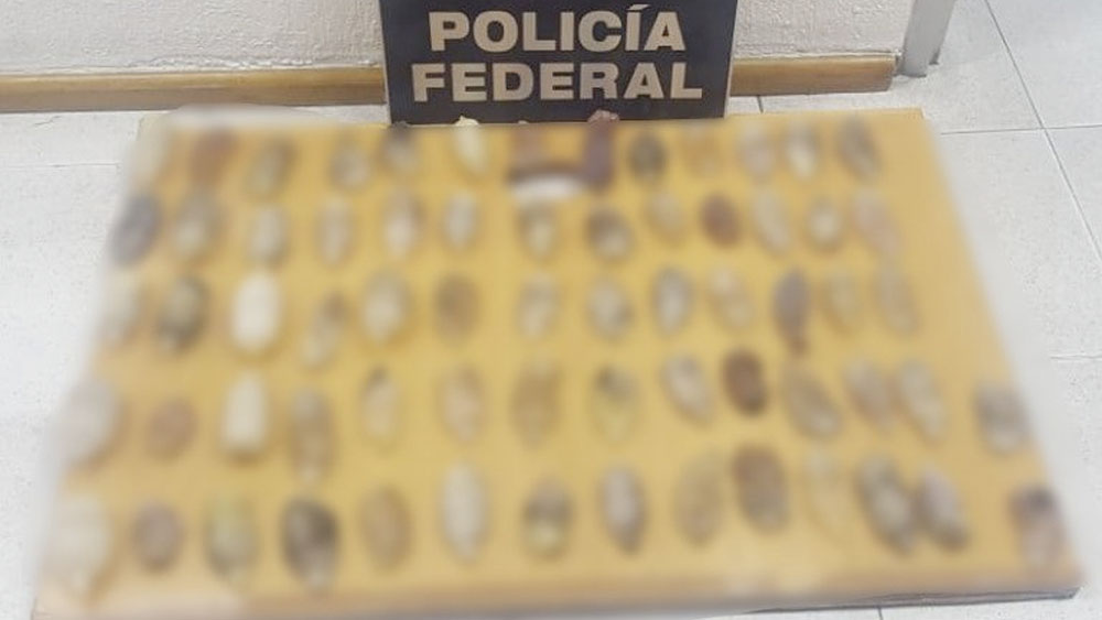 Encuentran paquetes de cocaína en drenaje del AICM