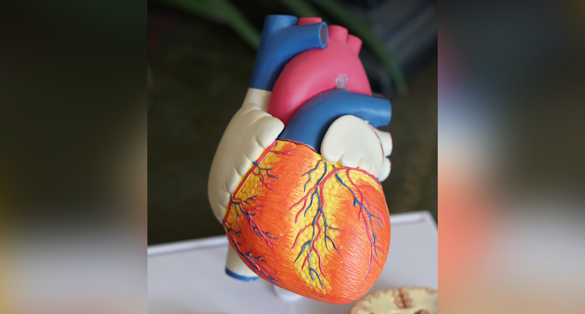 Padecimientos cardiovasculares son la primera causa de muerte en México