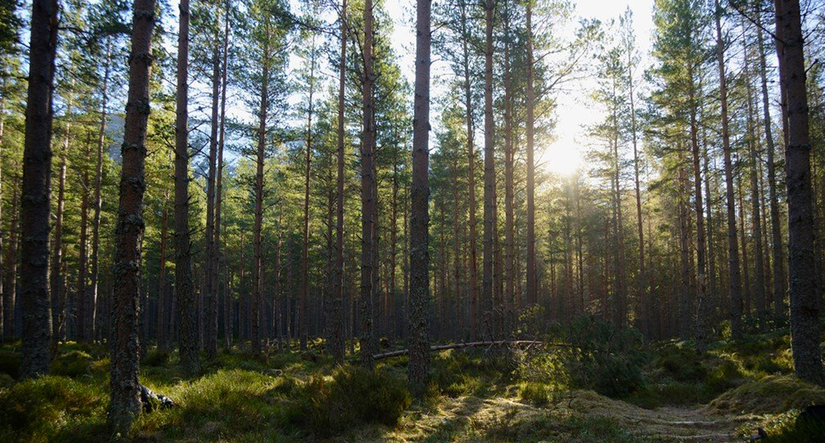 Glasgow será sede de la cumbre climática de Naciones Unidas en 2020