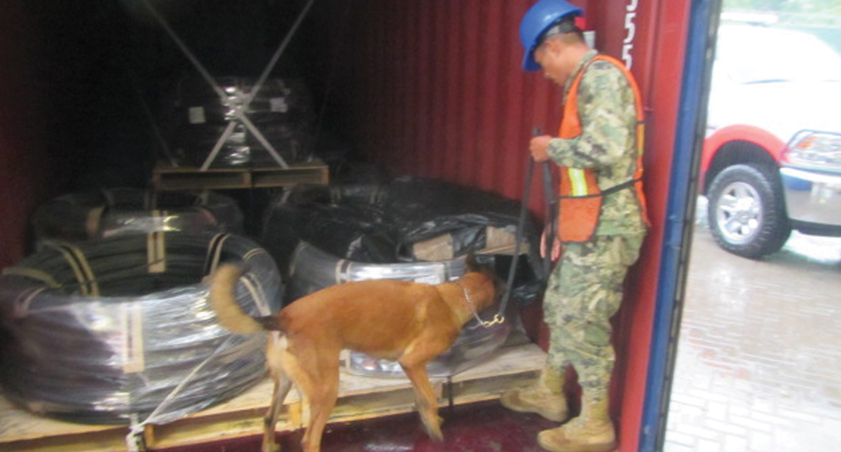 Decomisan 82 kilos de clorhidrato de cocaína en Michoacán - decomiso-de-drogas