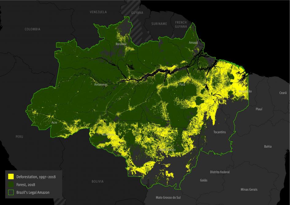 Redes mafiosas impulsan deforestación de la Amazonía - deforestacion-en-la-amazonia-brasilena
