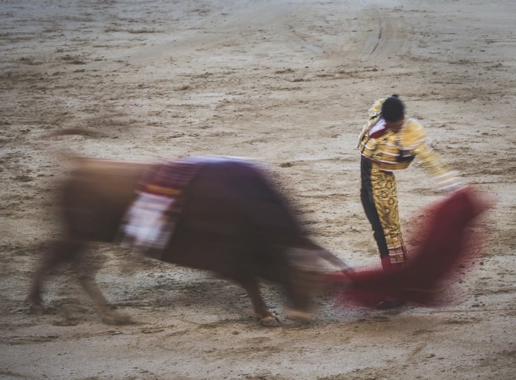 Ocho con Ocho: Lección de sencillez