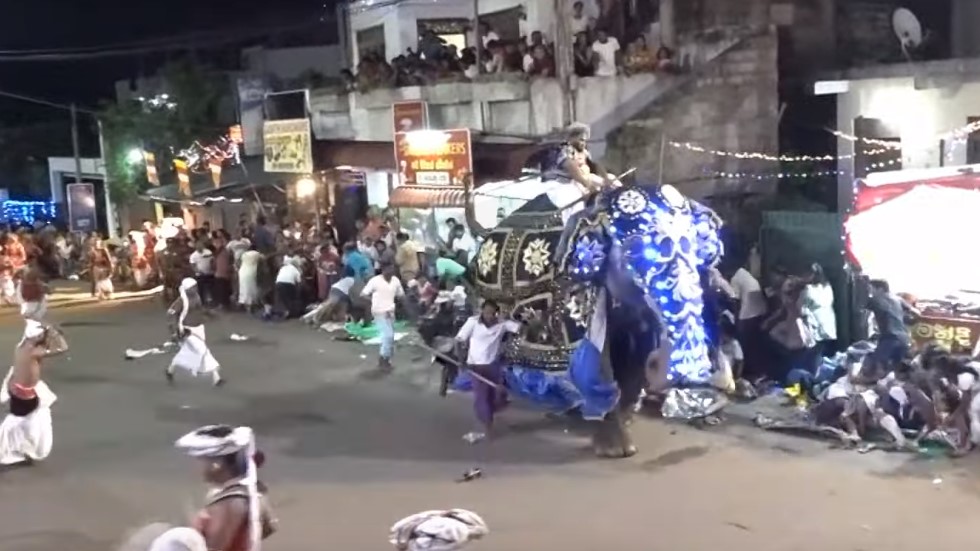 #Video Elefante pisotea a asistentes de desfile religioso en Sri Lanka