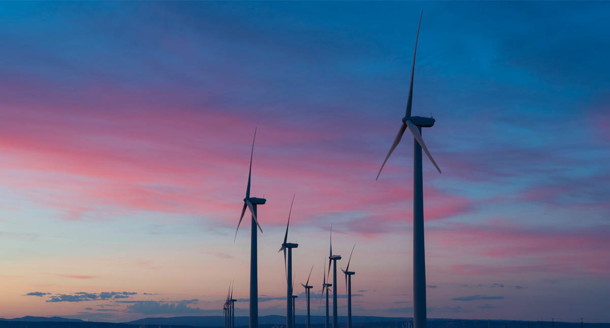 México pierde 12 mil mdd por falta de inversión en renovables