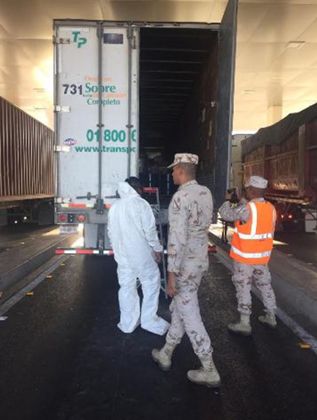 Aseguran casi tres toneladas de estupefacientes en Baja California - estupefacientes-baja-california-sedena