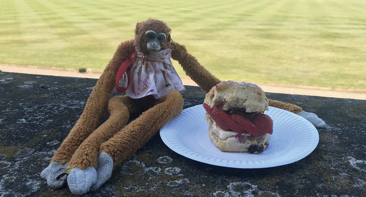 La reina Isabel devuelve peluche olvidado en el Palacio de Buckingham - harriet-el-mono