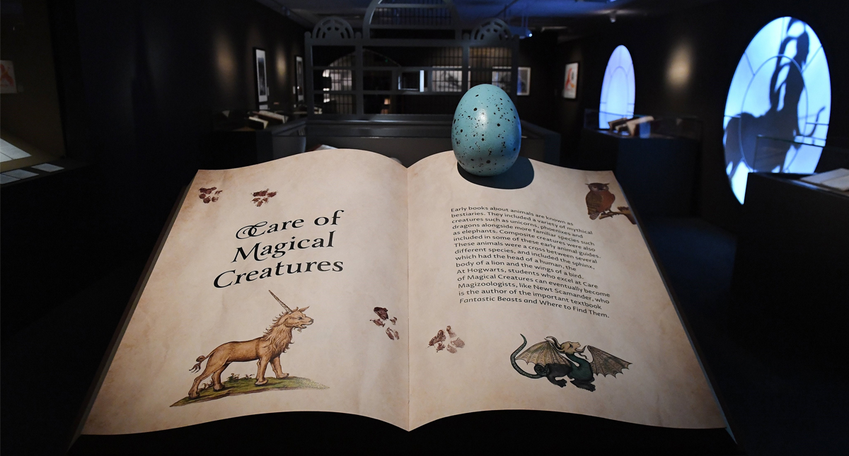 Prohíben libros de ‘Harry Potter’ en escuela de EE.UU.