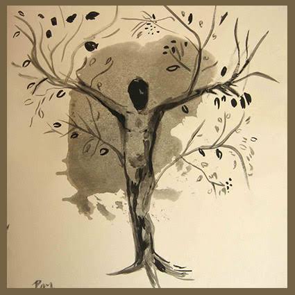 Awicha Khokga” (abuela árbol)