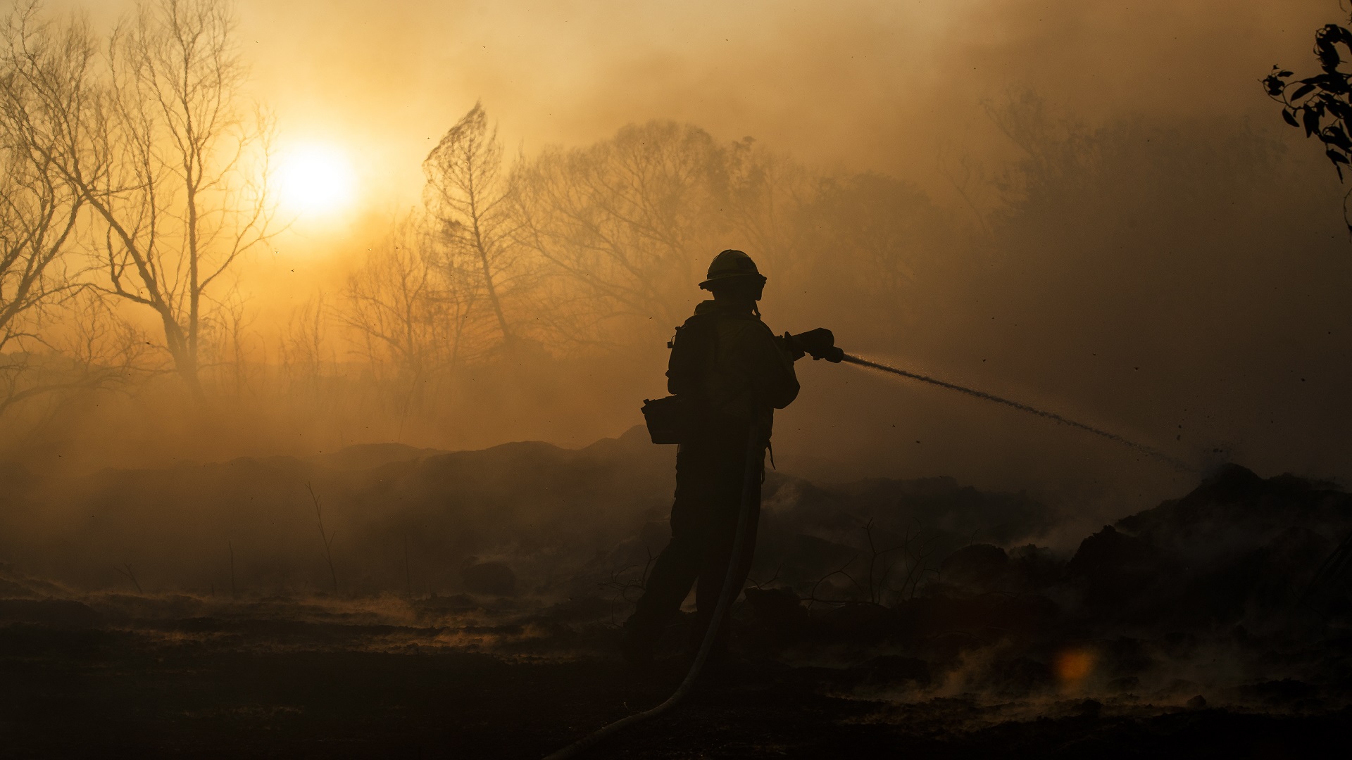 Presentan ‘gel’ para prevenir incendios forestales en California