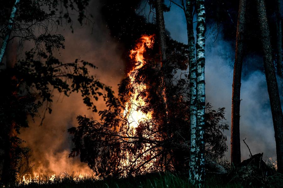 California espera controlar el incendio forestal Tenaja el martes - incendio-forestal-tenaja-california