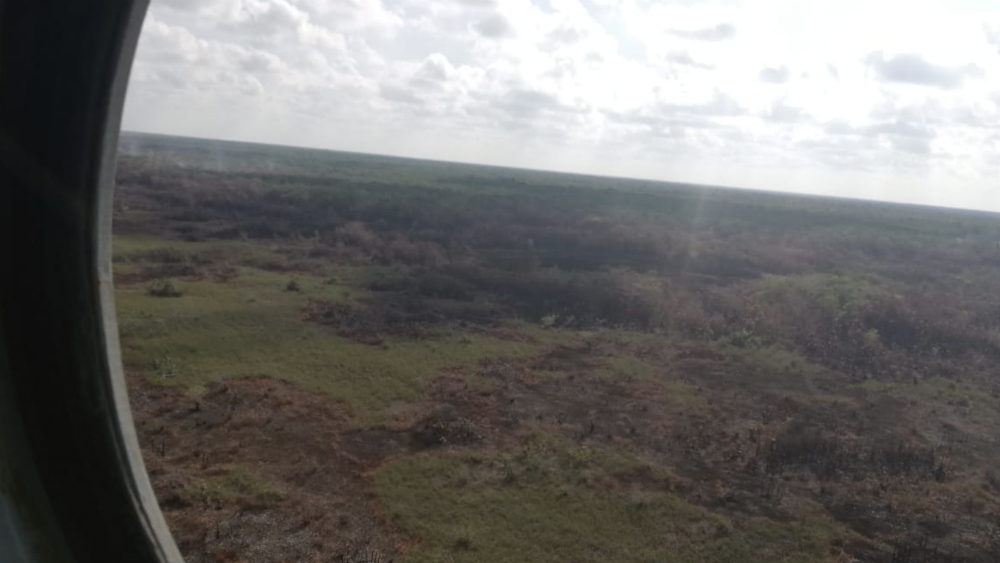 Controlan al 100 por ciento incendio en la Reserva Sian Ka´an