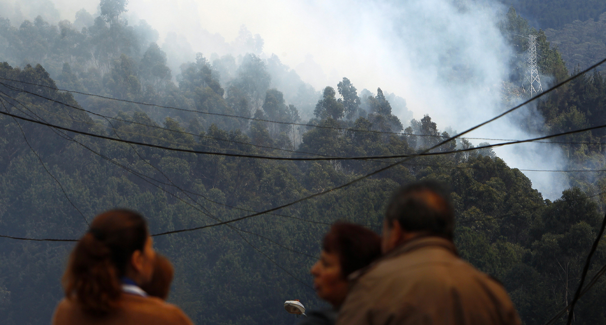 Incendios forestales en Colombia arrasan 120 mil hectáreas de bosque