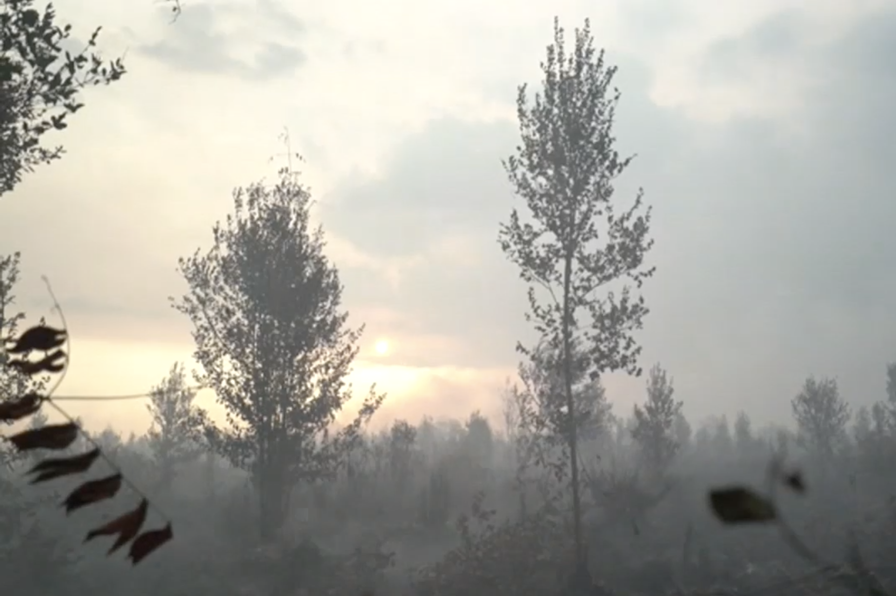 Indonesia investiga a decenas de empresas por incendios en Sumatra y Borneo